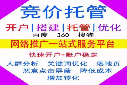 SEM托管服务，成功案例展示转化优势